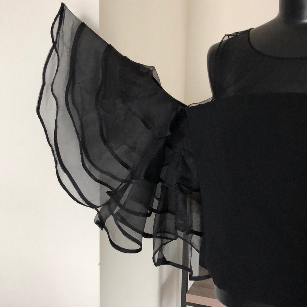 Sheer Ruffled Sleeve Top - Picture 4 of 7
